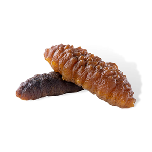 Concombre de mer séché frais, exporté, soigneusement sélectionné pour sa pureté élevée et sa saveur naturelle - Product Image 1