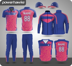 Uniforme de Cricket, conjunto completo de ropa deportiva disponible en hermosos colores con personalización disponible a precio mayorista - Product Image 2