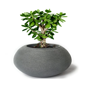 Maceta de cerámica de tono neutro adecuada para espacios rústicos o bohemios modernos, ideal para decorar con suculentas o flores frescas - Product Image 4