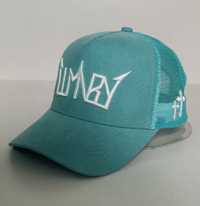 Venta al por mayor de terciopelo gorra de calavera 5 paneles 3D bordado logotipo en relieve personalizado gorra de camionero mexicano Gorras de malla gorra de camionero sombrero de malla de gamuza - Product Image 1