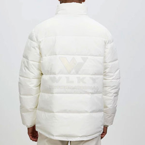 Chaqueta de Invierno Acolchada con Capucha Personalizada de Alta Calidad para Hombre, con Cuello Alto, Mejor Precio al por Mayor, Estilo Urbano, MOQ Bajo - Product Image 3