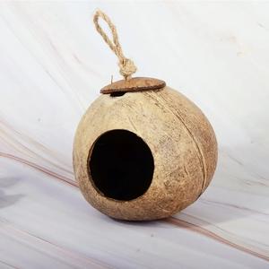 Coquille de noix de coco suspendue à l'extérieur 100% naturelle, maison d'oiseau écologique faite à la main, prix bon marché, prête à être expédiée - Product Image 2