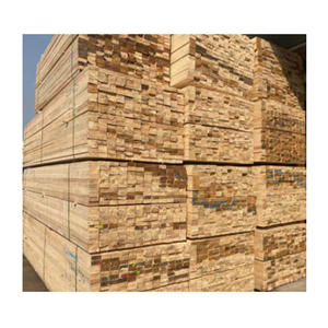 Troncos de Álamo de Calidad A/B/C con Diámetro Promedio de 25-45 cm para Producción de Madera y Industrias de Carpintería, Venta al Por Mayor - Product Image 1