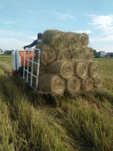 Nhà cung cấp tốt nhất chất lượng gạo rơm liên hệ với chúng tôi giá tốt nhất bán buôn Việt Nam Sử dụng cho hàng thủ công, và sửa đổi đất - Product Image 2