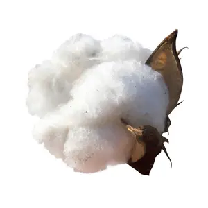 Great Quality Loose And Sheets Cotton Pulp In Bulk Any Grades Cotton Pulp For Sale