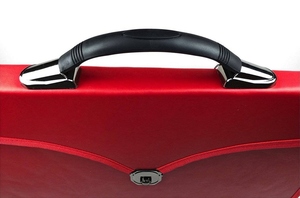 Estuche para delantal del capítulo del sumo sacerdote pasado Cuero rojo MM, WM, Estuche para delantal suave masónico provincial para llevar en ceremonias y comunidad - Product Image 2
