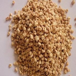 Buena mazorca de maíz - Product Image 1