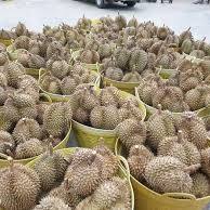 Handpicked <b>Fresh</b> Durians From Thailand Khey Taladthai Brand Grade A-Perfectly Ripe Creamy Exotic Tropical Flavor Best Thailand - Product Image 5