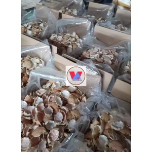 Polvo de concha de cangrejo para alimentación animal grado industrial con estándar de exportación // Ms. Thi - Product Image 2