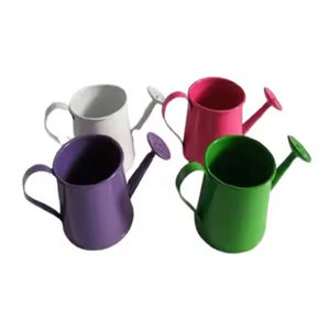 Ensemble de 6 arrosoirs galvanisés pour fleurs, faits à la main, de forme personnalisée, bidon d'eau pour fleurs de jardin au prix le plus bas - Product Image 3