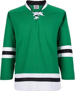 Vêtements de sport Maillot de hockey sur glace 100% Ensembles de hockey sur glace en polyester pour patchs personnalisés Ensembles de maillots de hockey sur glace fabriqués au Pakistan - Product Image 1