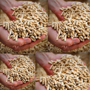 Briquettes de bois de haute qualité, sacs de 15 kg, 6 mm 8 mm, combustible biomasse en bois dur, chauffage industriel et domestique, écologique, faible teneur en cendres, humidité 0%, en vrac - Product Image 2