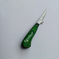 Cuchillo de chef de filete hecho a mano personalizado de 9 "con mango de madera Pakka, hoja de acero J2, incluye Funda de cuero, cuchillo para deshuesar pesca