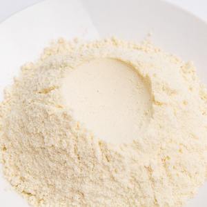 Vente en gros de durians naturels purs en poudre, extrait en poudre de jus de durian fabriqué au Vietnam - Product Image 3