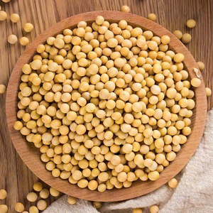 Chất lượng cao không biến đổi gen khô Đậu Nành Đậu kim Dài 0.5kg biểu tượng tùy chỉnh cấp thực phẩm màu vàng đóng gói cho nảy mầm bao bì số lượng lớn - Product Image 1