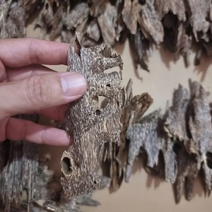 Superior Quality Pure <b>Agarwood</b> Wood Chips Sourced From Vietnam Oud - Product Image 5