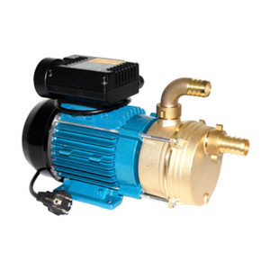 Elettropompa Travaso 1,0 Hp Tellarini Profilo 30 Mm - Product Image 1