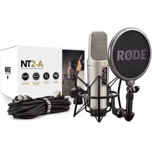 Micrófono de Condensador Multipatrón de Diafragma Grande Rodes NT2-A en Oferta, Listo para Enviar - Product Image 1