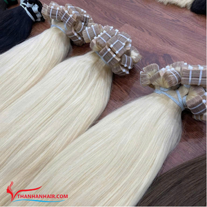 Extensions de cheveux de luxe bande de cheveux humains vietnamiens 100 cheveux humains Double dessiné plusieurs couleurs - Product Image 4