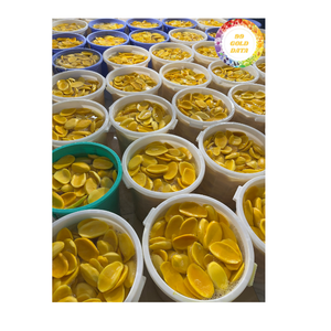 มะม่วงอบแห้งแบบเวียดนามวัสดุมะม่วงสดสำหรับร้านสมูทตี้สูตรเบเกอรี่และการค้าอาหารขายส่งระหว่างประเทศ - Product Image 3