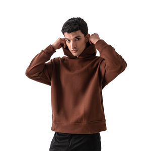 Logotipo personalizado 500gsm 100% algodón invierno hombres alta calidad manga regular sudaderas peso pesado Regular Fit hecho en Pakistán - Product Image 5