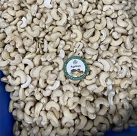 Hot Selling Premium Gedroogde Cashewnoten W320 W240 Droog Fruit Groothandel Gemaakt In Vietnam