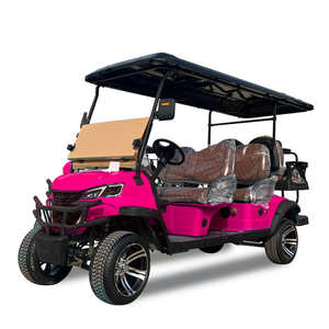 Carrito Eléctrico de 6 Plazas con Batería de Litio de 60V |   Velocidad Máxima 70 km/h |   Autonomía de Conducción 50-70 km |   Certificado por EEC/CE/GCC/DOT - Product Image 3