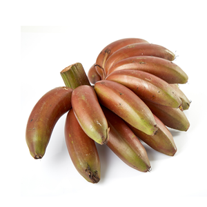 <b>Fresh</b> Harvest Hot Sale Premium Organic Cavendish <b>Bananas</b> Germany 10kg Bulk Top Selling - Product Image 4