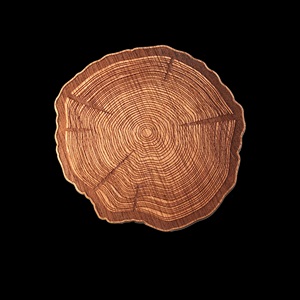 High Quality Home Bar Decoration <b>Coaster</b> for Cup Leaf <b>Coaster</b> Monstera Shaped <b>Ceramic</b> Green Silver Gold Accessories Europe Style - Product Image 4