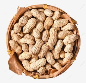 Aperitivo seco de cacahuetes salados de gran tamaño a precio de fábrica de cacahuetes crudos de China en envases enlatados - Product Image 2