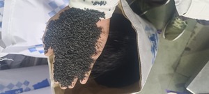 Premium Quality Black Sesame <b>Seeds</b> for Cooking or Baking and Snacking or Edible Oil Extraction Available at Best Price - Product Image 2