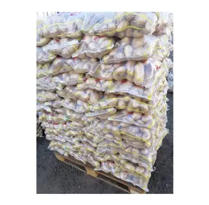 Ägypten Herkunft Frisches Gemüse Lieferant von guter Qualität Hot Selling Delicious Potatoes Spunta, Diamond, Lady, Rosetta