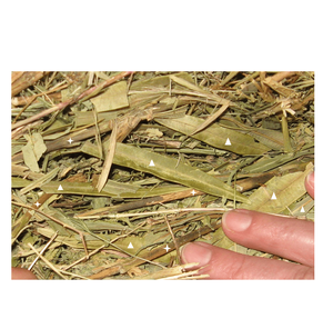 "ข้าวโอ๊ตหญ้าแห้งขายในราคาถูก, หญ้าแห้งที่มีคุณภาพสูงสำหรับกระต่าย, หนูตะเภาและสัตว์เลี้ยงขนาดเล็กอื่นๆเพื่อสนับสนุนอาหารเพื่อสุขภาพ" - Product Image 4