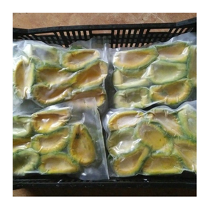 Suministro a granel de aguacate congelado de Vietnam: aguacate congelado de primera calidad para batidos, guacamole, ingredientes para tostadas, rollos de sushi y uso en panadería - Product Image 2
