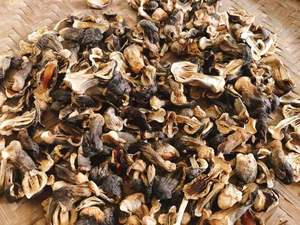 Hongo de paja de arroz seco para niños a bajo precio y entrega rápida desde Vietnam - Product Image 2