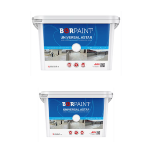 Borpaint ไพรเมอร์สากลเป็นมิตรกับสิ่งแวดล้อมกันน้ำอะคริลิค - Product Image 1