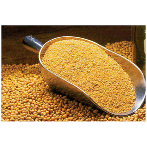 Harina de hueso de carne al mejor precio (alimentación animal) disponible a granel a precio mayorista - Product Image 3