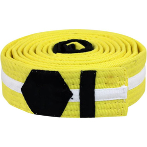 Cinturón BJJ de Jiu Jitsu brasileño personalizado más vendido, cinturones de rango multicosidos de algodón 100% para adultos y niños, cinturones OEM a la venta - Product Image 3
