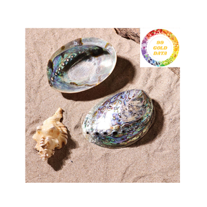 Concha de abulón pulida de Vietnam, ideal para recuerdos, decoración del hogar y fabricación de joyas - Product Image 2