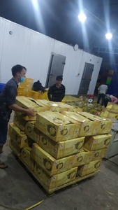 ราคาที่ดีที่สุดสำหรับคุณ! ผลไม้พิเศษจากเวียดนาม/ทุเรียนแห้ง - Product Image 5