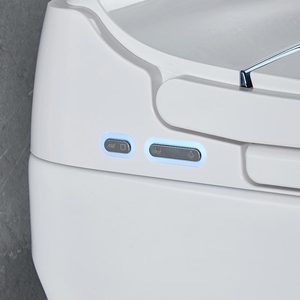 Распродажа, керамический унитаз - Product Image 4