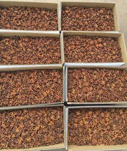 Anis étoilé de qualité supérieure 100% naturel à haute teneur en huile séché de Lang Son Vietnam Agrikim JSC +84 35 254 2206 - Product Image 5