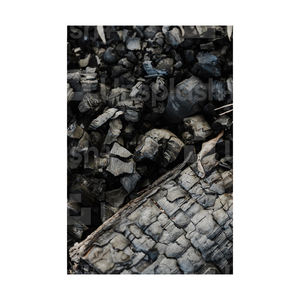 Charbon de bois Direct Factory pour BBQ à bas prix - Product Image 4