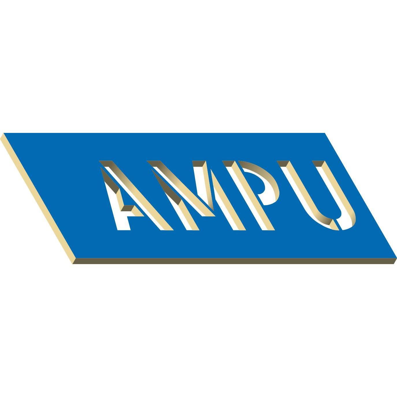AMPU Stanztechnik GmbH & Co. KG logo