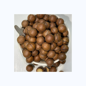 Producto de gran venta, nueces de Macadamia orgánicas a un precio muy barato - Product Image 3