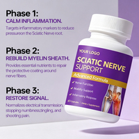 Capsules de soutien à base de plantes pour le soulagement du nerf sciatique avec acide alpha-lipoïque et curcuma – Supplément anti-douleur sciatique – Fabricant OEM