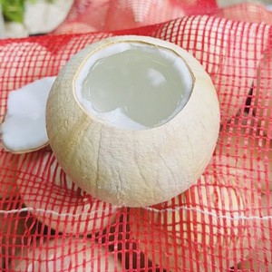 Coco Entero Pulido de Vietnam - Cosecha Fresca, Listo para Exportar - Product Image 1