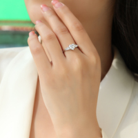 Fijne Sieraden Fabriek Zilveren Ring Rond Briljant Ovaal Smaragd Kussen Hart Gesneden Edelsteen Ringen Moissanite Drie Stenen Ringen Voor Vrouwen