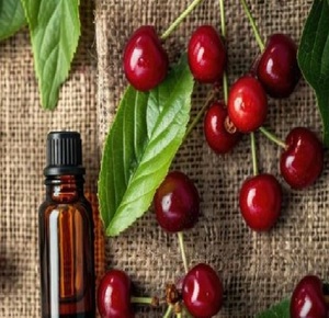 Huile essentielle de cerise biologique de culture sauvage Extrait de plantes liquide en bouteilles Boîtes Tambours comprenant l'extrait de fleur de cerisier - Product Image 3