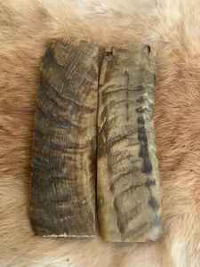 Échelle de corne de mouton artisanale naturelle de qualité standard blocs de corne de buffle écailles d'agate polies dans des couleurs attrayantes - Product Image 3